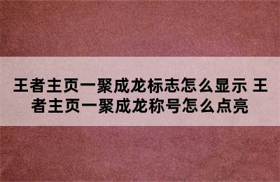 王者主页一聚成龙标志怎么显示 王者主页一聚成龙称号怎么点亮